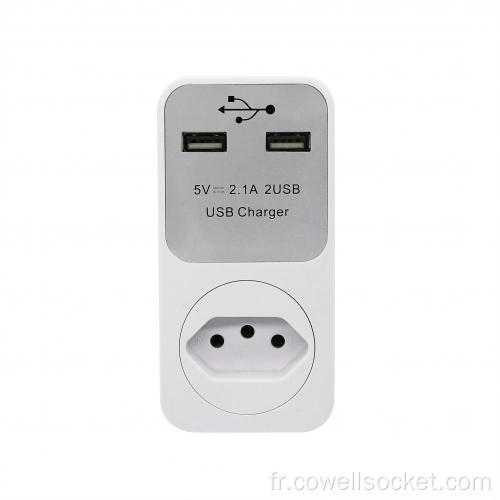 Chargeur USB 2.1A Br Plug Charger